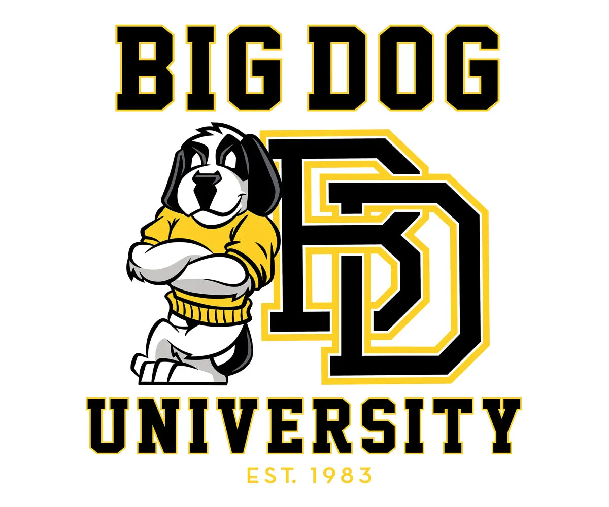 Bd University Black Gold T-shirt