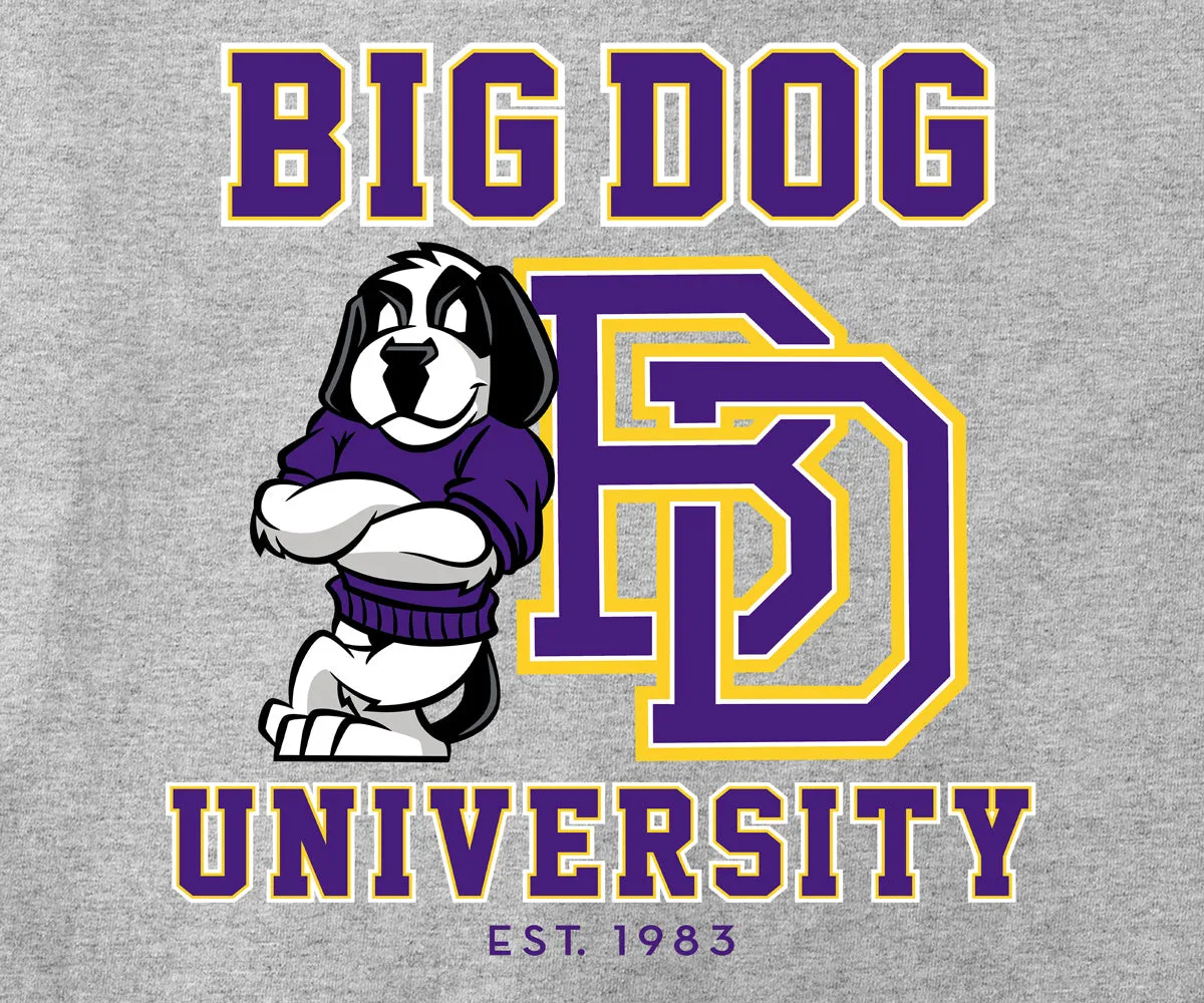 Bd University Purple Gold T-shirt