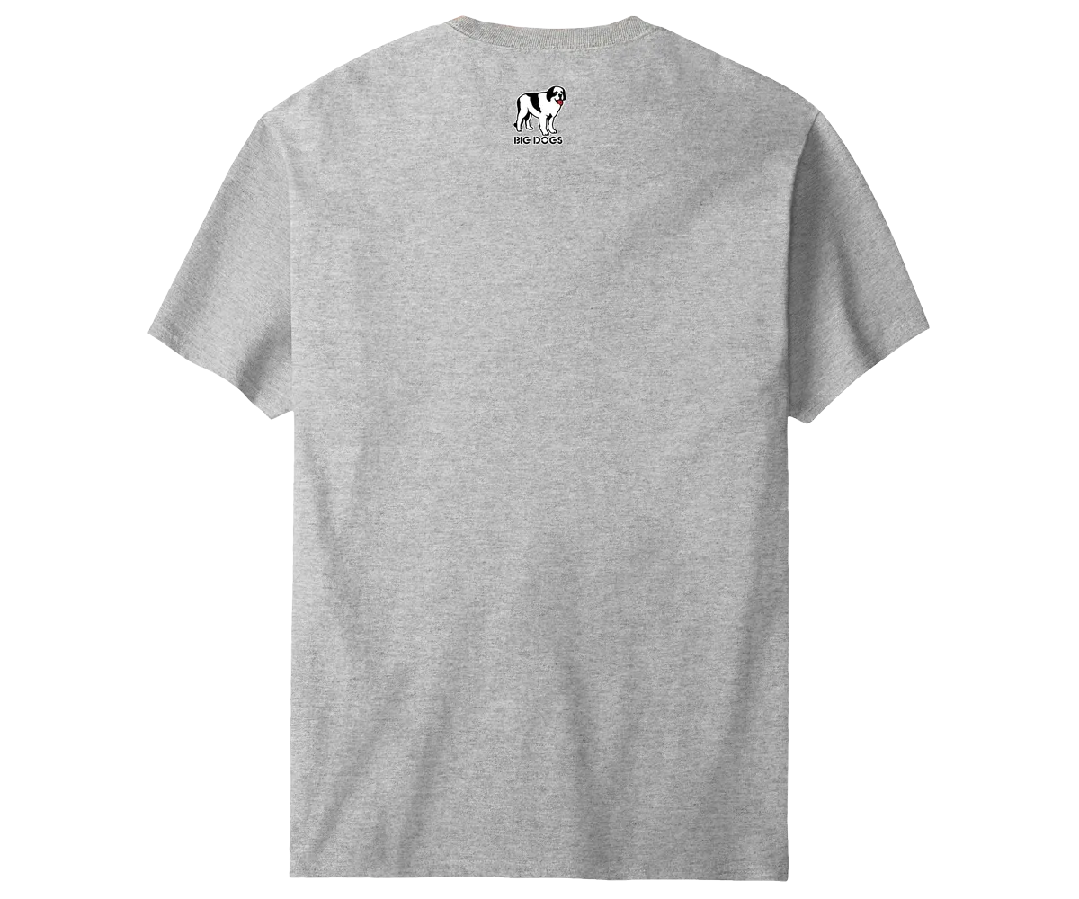 BDCF Texas T-shirt