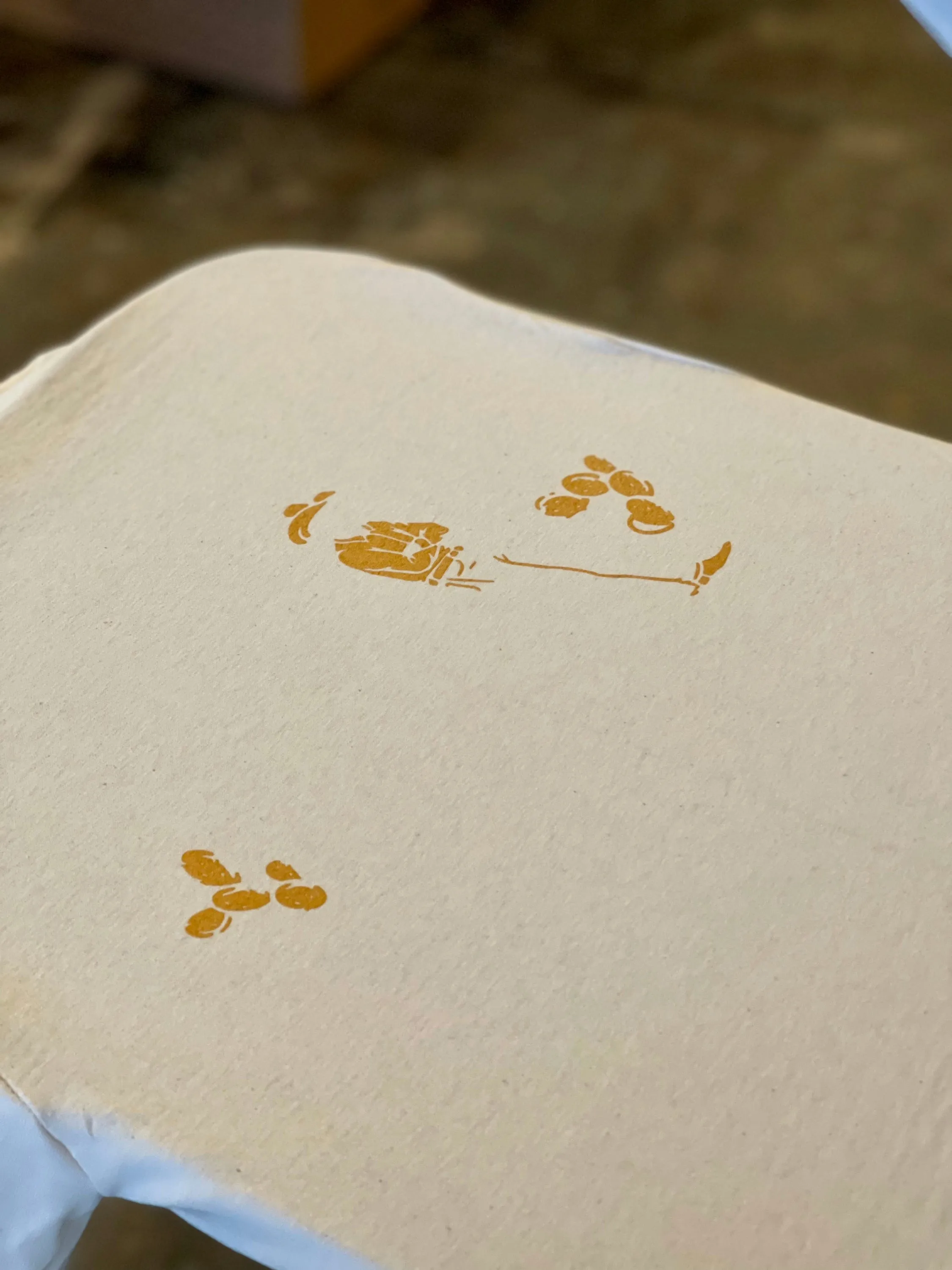 Coffee Cowboy | Mescalito Coffee