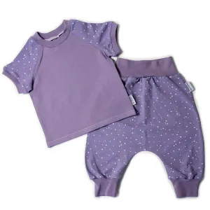 Dotties purple