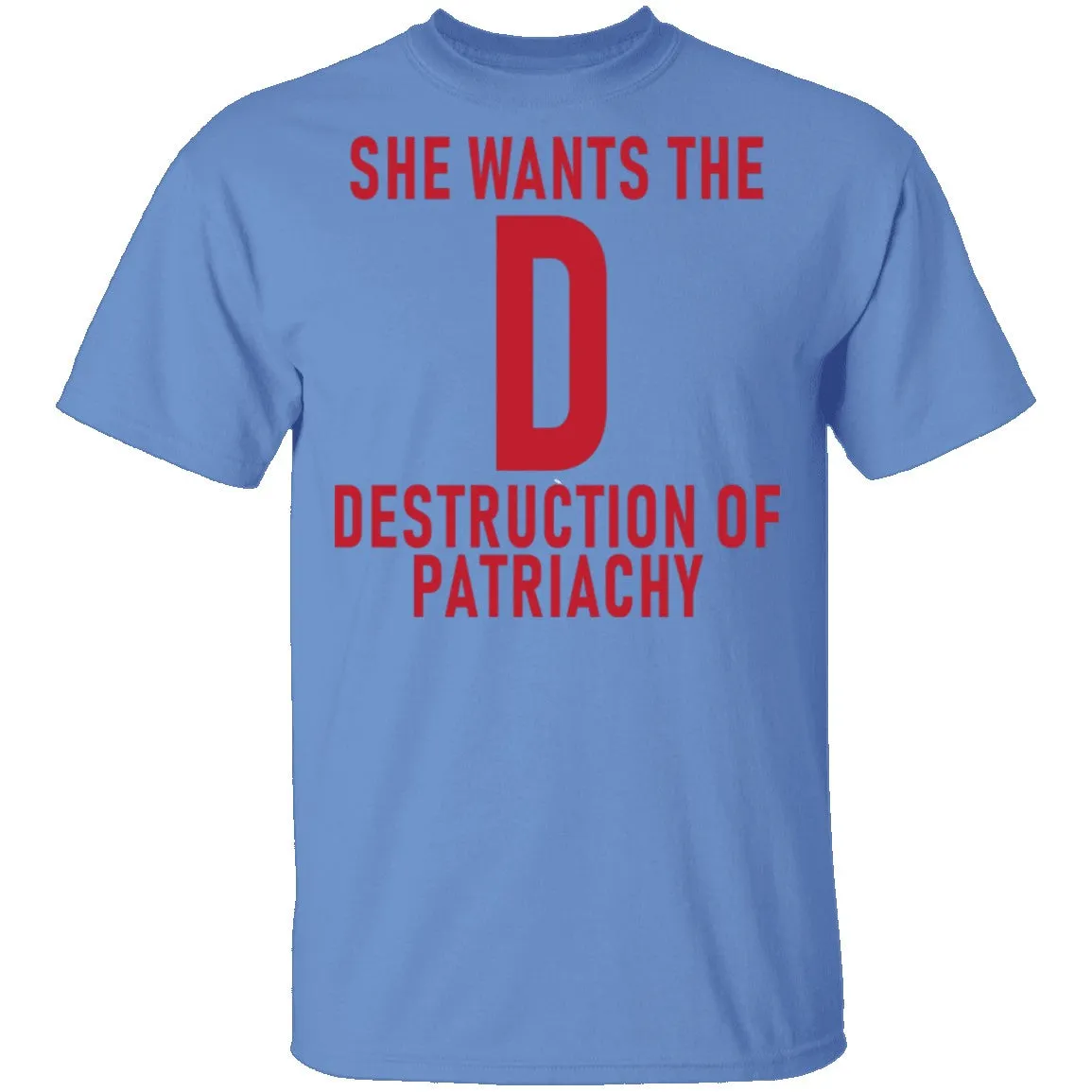 She Wants The D Destruction Of Patriarchy T-Shirt