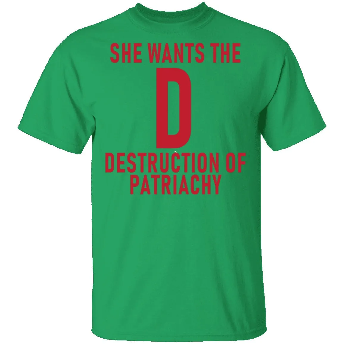 She Wants The D Destruction Of Patriarchy T-Shirt